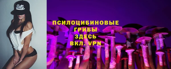 jwh Абаза