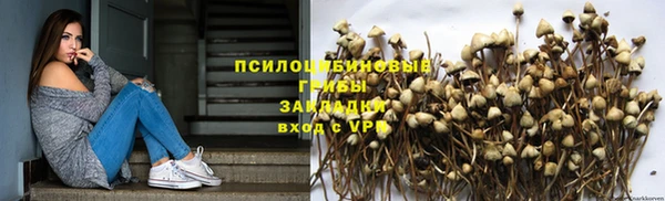 амф Абдулино