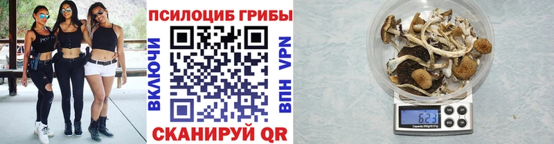 Псилоцибиновые грибы GOLDEN TEACHER  Александровск 